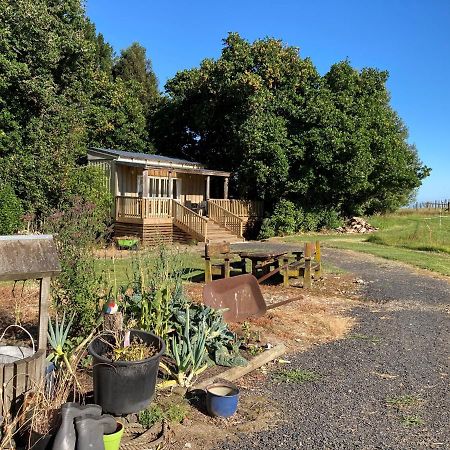 The Treehut Ohauiti Exterior foto