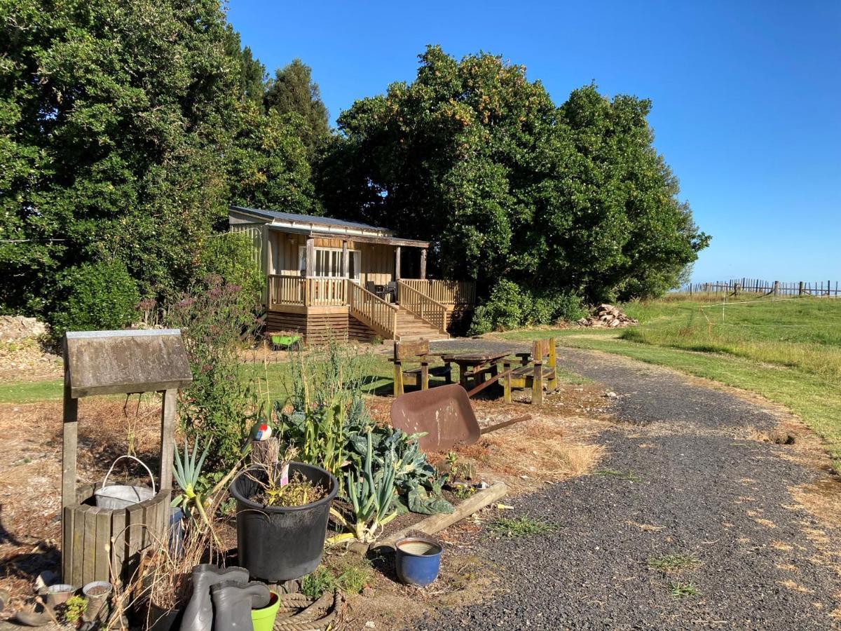 The Treehut Ohauiti Exterior foto